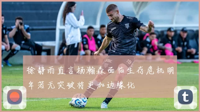 徐静雨直言杨瀚森面临生存危机明年若无突破将更加边缘化