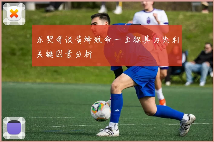 东契奇谈黄蜂致命一击称其为失利关键因素分析
